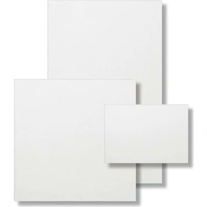 Bfs 25X35 Tuval