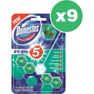Wc Blok 5'li Güç Çam Ferahlığı 9 x 55 gr