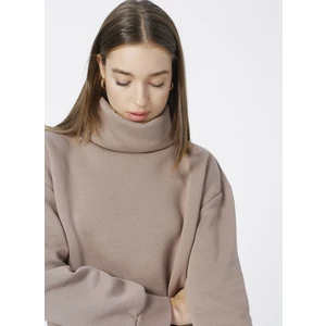 Dik Yaka Düz Vizon Kadın Sweatshırt VEJA