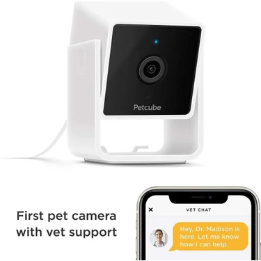 Petcube cat on sale