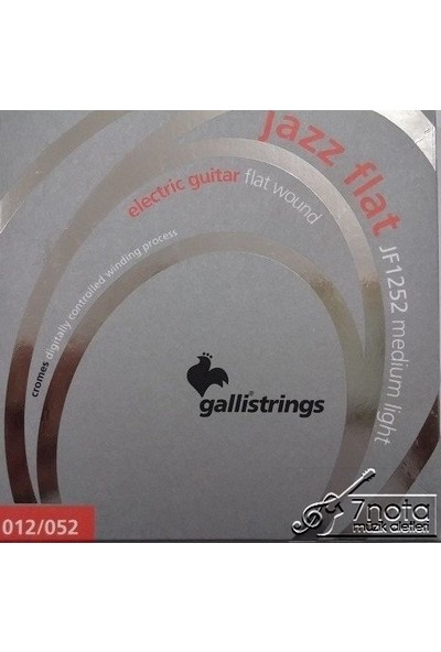 Galli JF-1252 Elektro Gitar Teli Jazz Flat Medium Chrome Steel