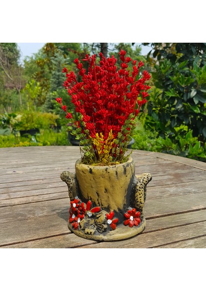 Kır Bahçesi Saksıda Kırmızı Lavanta fiyatları