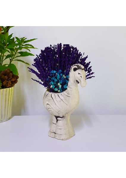 Zebra Saksıda Mor Lavanta