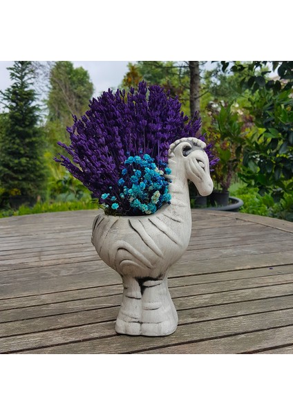 Zebra Saksıda Mor Lavanta modelleri