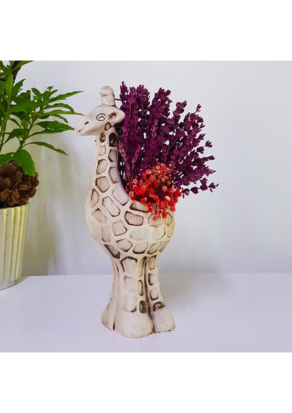 Zürafa Saksıda Bordo Lavanta