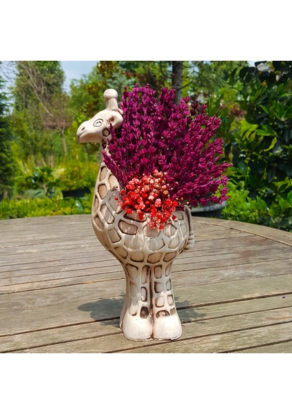 Zürafa Saksıda Bordo Lavanta fiyatları