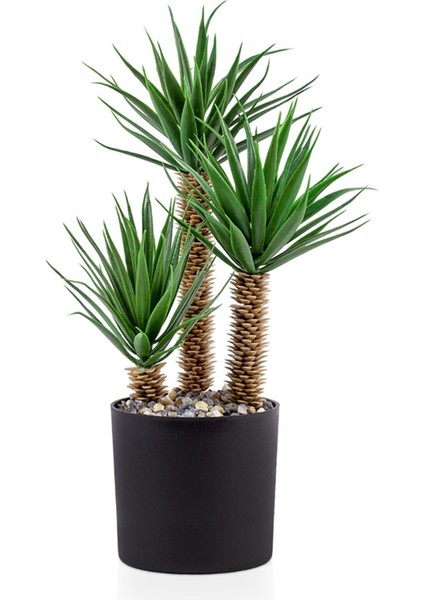 Siyah Saksıda Üç Dal Yapay Kaktüs Aloevera