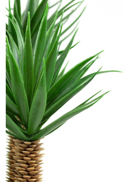 Siyah Saksıda Üç Dal Yapay Kaktüs Aloevera fiyatları