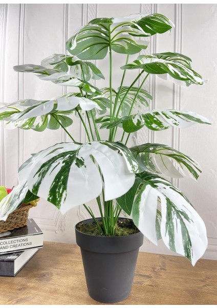 Yapay Ağaç Salon Bitkisi Beyaz Monstera 70 cm 18 Yaprak Antrasit Saksıda Deve Tabanı