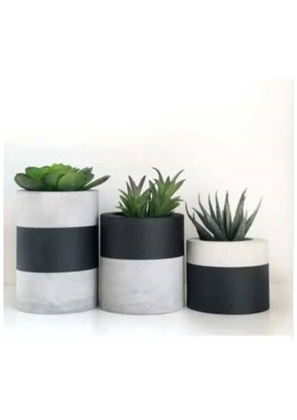 Siyah Bantlı Beton Saksı Kaktüslü 3'lü Set