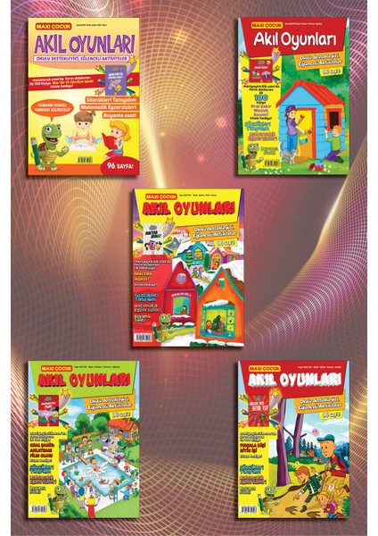 Akıl Oyunları Set 2