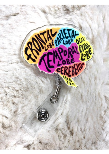Renkli Beyin Kısımları Yoyo Kartlık
