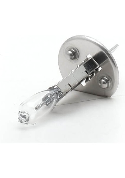 H1 Standart Halogen Ampul