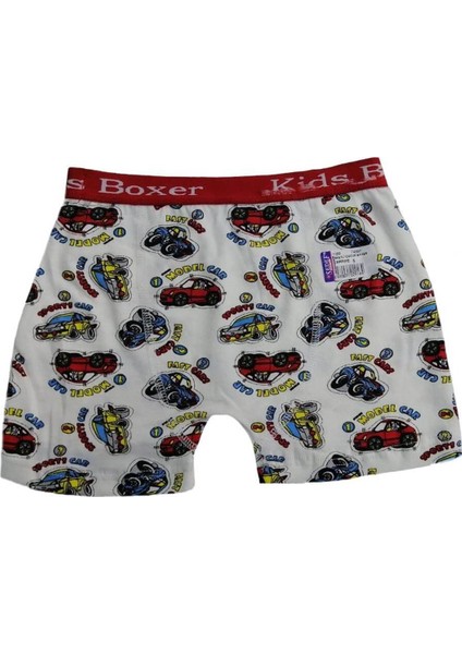 Sedef Yıldız 1089 Likralı Erkek Çocuk Desenli Boxer