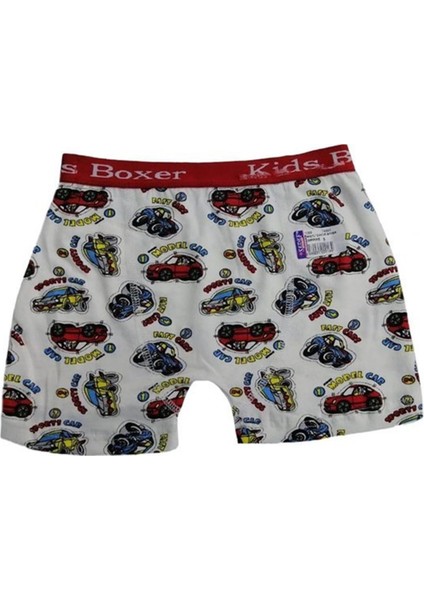 Sedef Yıldız 1089 6'lı Likralı Erkek Çocuk Desenli Boxer