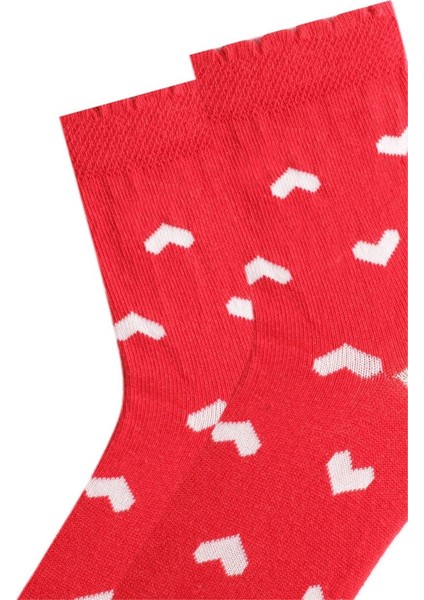 3'lü Kız Çocuk Çorabı modelleri