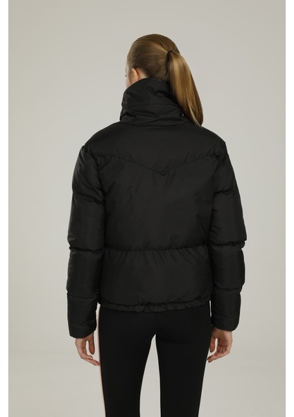 SN38 Candy Coat 1pr Siyah Kadın Kısa Kaban fiyatları