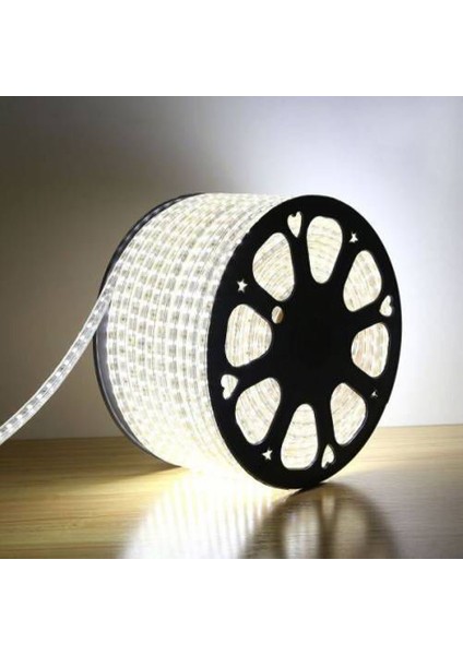 Kare Işıklı Hortum Şerit LED Işık 3 Çip 5050 100 Metre Beyaz