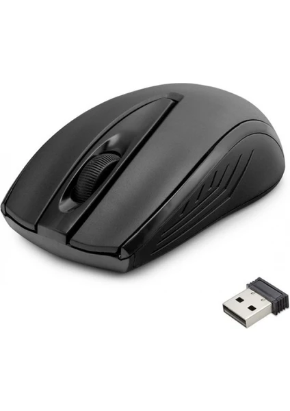 HD5693 2.4ghz Nano Receiver 1200DPI Kablosuz Mouse -Siyah