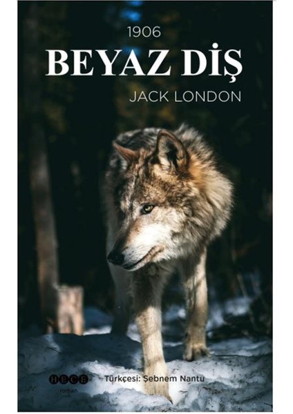 Beyaz Diş - Jack London