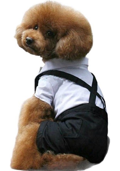 Tuxedo Smokin Köpek Kıyafeti Damatlık Siyah - Beyaz L