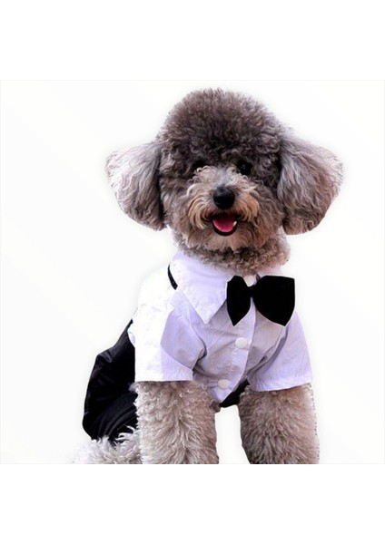 Tuxedo Smokin Köpek Kıyafeti Damatlık Siyah - Beyaz L fiyatları