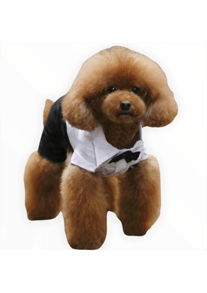 Tuxedo Smokin Köpek Kıyafeti Damatlık Siyah - Beyaz L modelleri