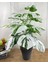 Yapay Ağaç Salon Bitkisi Beyaz Monstera 70 cm 18 Yaprak Antrasit Saksıda Deve Tabanı 1
