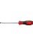 Ceta-Form F10 Seri C-Plus Düz Tornavida 3.0 mm x 100 mm 1