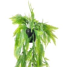Nettenevime Yapay Çiçek Siyah Saksıda Sarkan Çiçek Boston Fern