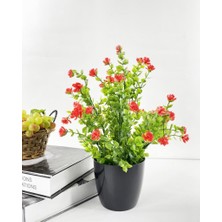 Nettenevime Yapay Çiçek Siyah Saksıda Kırmızı Mineli Şimşir Büyük Boy 33X25 cm