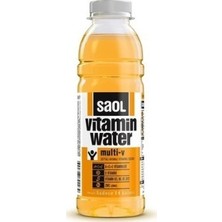 Saol Water Multı-V 500 Ml 12'li