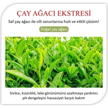 One Spring Eğilimli Ciltler Için Çay Ağacı Bakım Kremi 30 gr