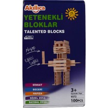 Akıllıca +3 Yaş Akıllıca Yetenekli Bloklar 9372