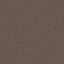 Casadeco So Color 2 Ithal Duvar Kağıdı