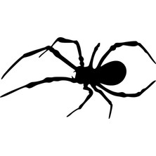 Stickrmarket | Örümcek | Araba Laptop Duvar Folyo Sticker 5 x 2,5 cm