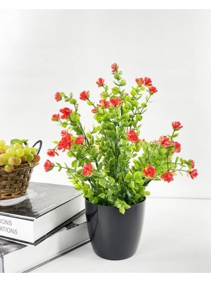 Nettenevime Yapay Çiçek Siyah Saksıda Kırmızı Mineli Şimşir Büyük Boy 33X25 cm
