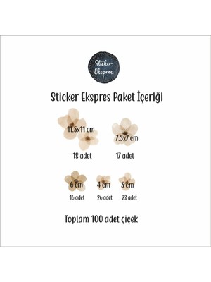 Sticker Ekspres Açık Kahverengi Çiçekler Çiçek Duvar Sticker Seti