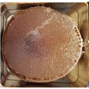 Çilem Bal Karakovan Bal 1,5 kg