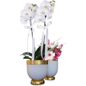 2'li Darbuka Saksı Seti