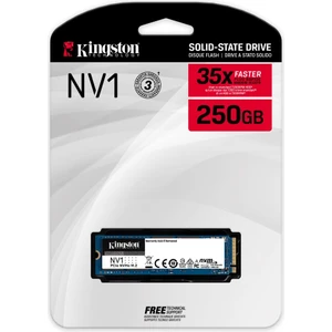 Nv1 250GB 2100-1100MB M.2 2280 SSD