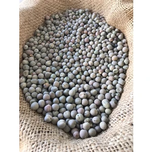 Yem Bezelyesi Taşkent 10 kg