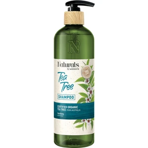 Naturals By Watsons Şampuan Tea Tree 490 ml