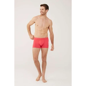 U.S. Polo Assn. 80449 Erkek Boxer-Mercan