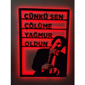 Müslüm Gürses Rgb Kumandalı 16RENKLI LED Işıklı Tablo