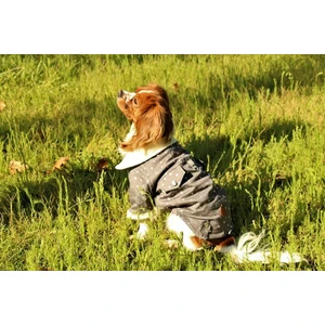Yıldız Gabardin Ceket Kedi Köpek Yelek Kedi Köpek Kıyafeti  S