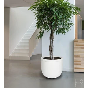 Echo Furniture Hardy Serisi Beyaz Saksı