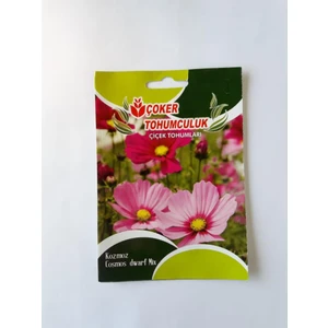 Kozmos Çiçeği Çiçek Tohumu