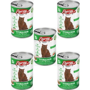 Cat Food Somonlu Kısırlaştırılmış Islak Kedi Maması 5'li – 400  gr