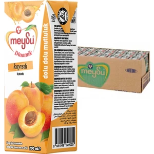 Kayısı Dinamik 200 ml x 27 Adet